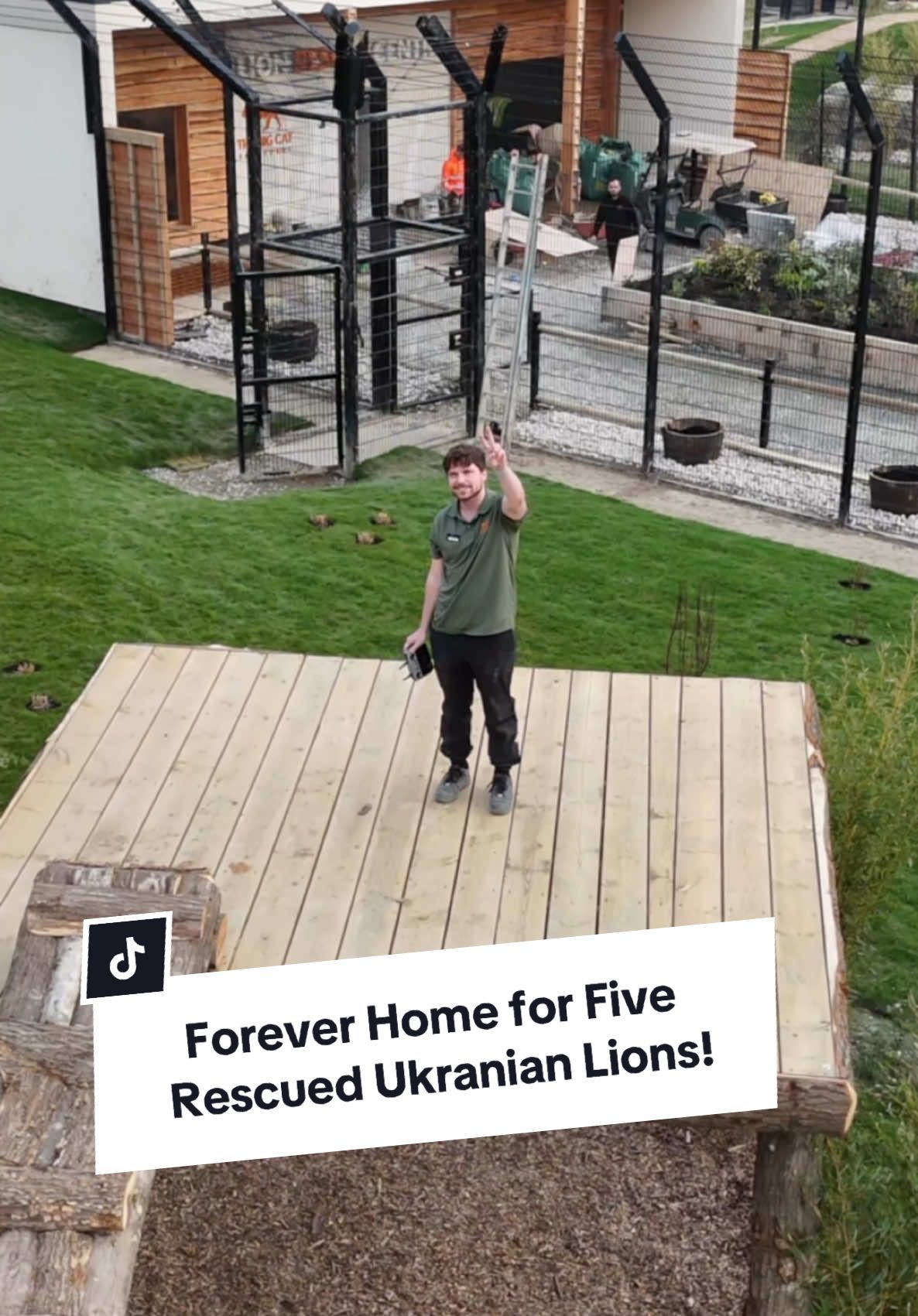 This is the week… the final chapter of an incredible journey. 🦁 We’re ready to welcome Yuna, Rori, Vanda, Amani, and Lira, five lions rescued from the war in Ukraine to their new forever home at the Lion Rescue Centre in our sanctuary. 🏡 Follow along as they complete their journey from war to sanctuary. 🙏  #tiktokforgood #lions #thebigcatsanctuary #Sanctuary #ukraine #uknews 