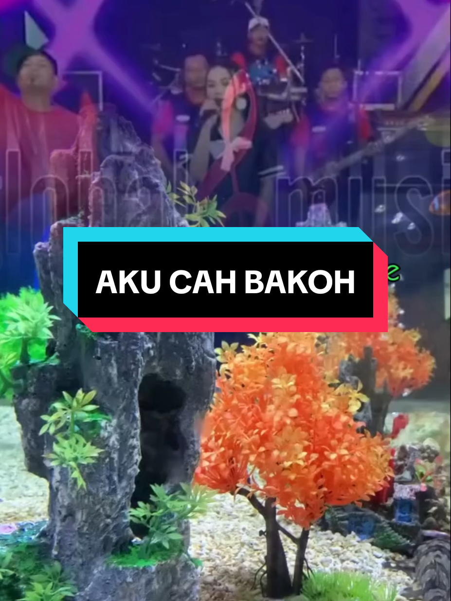 SEMANGAT LAN MBOTEN JEPAT #liriklagujawa #dangdut #akucahbakoh 