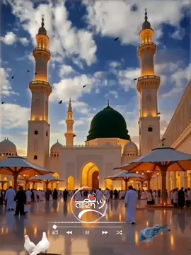 অনেক সুন্দর একটা গজল #মদিনার_পাগল🕋🕋🕋🤲🤲🤲 #মদিনা_শরীফ #islamic_video #tiktokviral #tiktok 