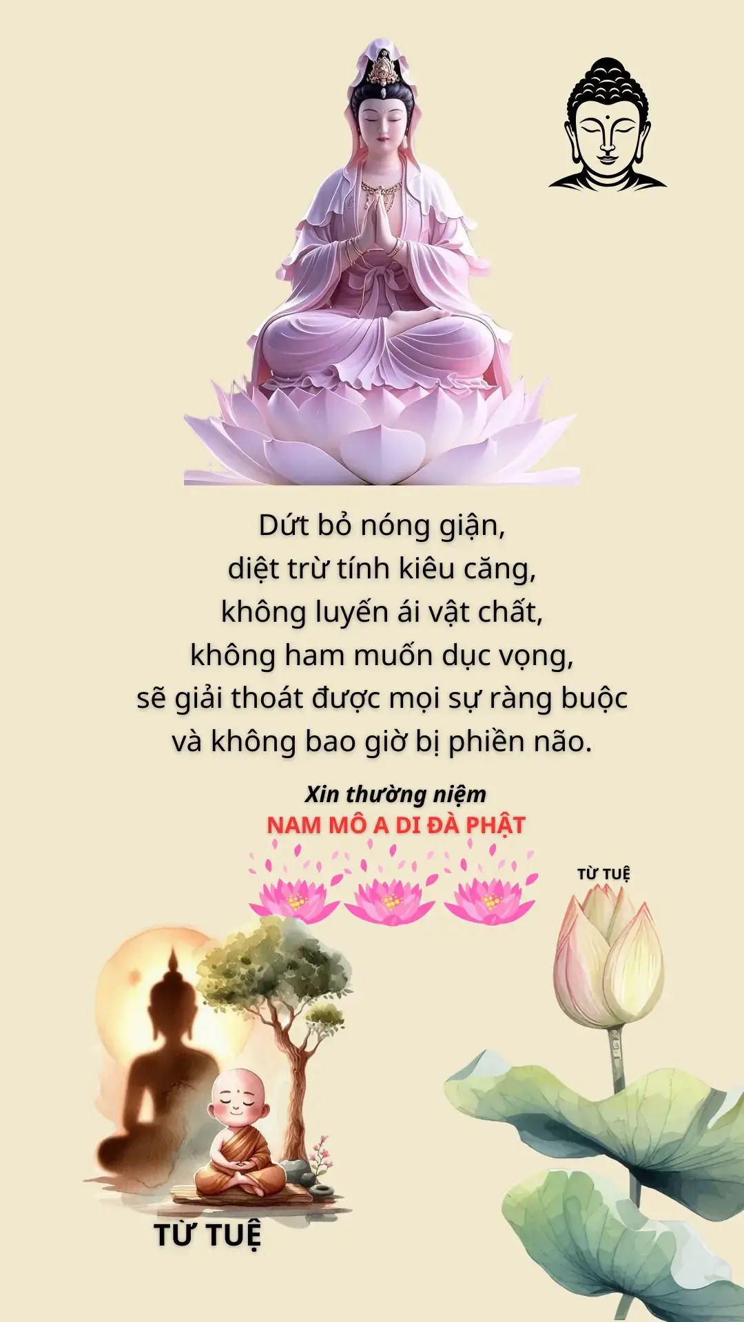 NAM MÔ A DI ĐÀ PHẬT #LearnOnTikTok #xuhuong2024 #mantra #nhacphat #phatphapvobien #kinhphat #tinhtam #fpy #phatphapnhiemmau #xuhuongtiktok #phatphap #buddha #LearnOnTikTok #xuhuong #phatphapvadoisong 