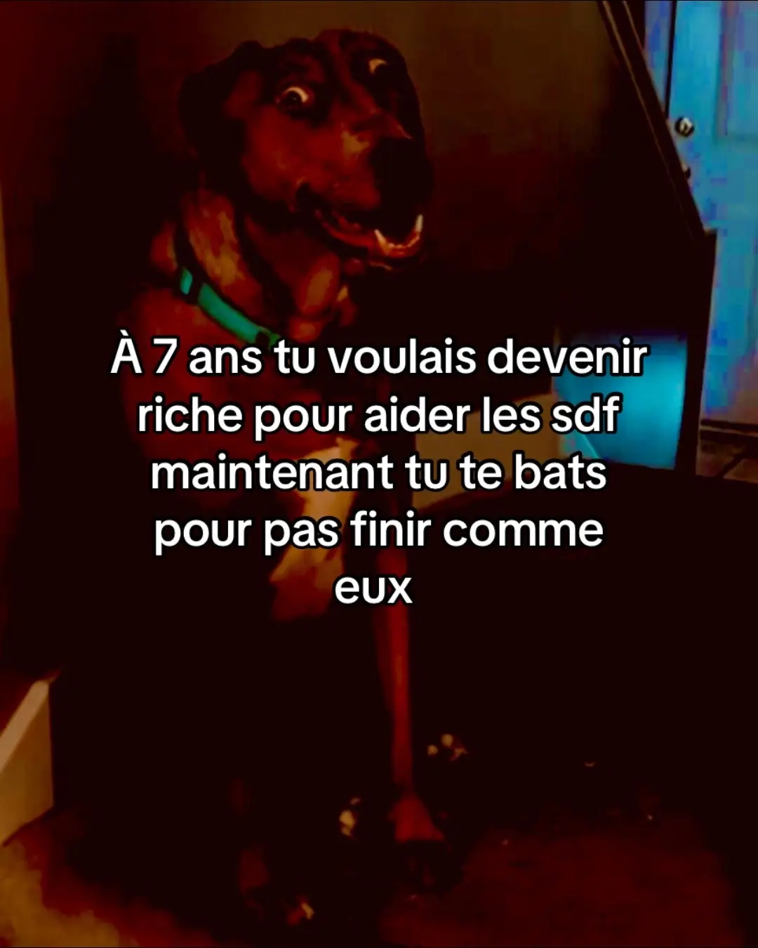 Les temps sont dur…🚶🏾‍♂️ #sdf #trend #chien #lavieestdure #ilmefautdelargentatoutprix #lavieestharr 