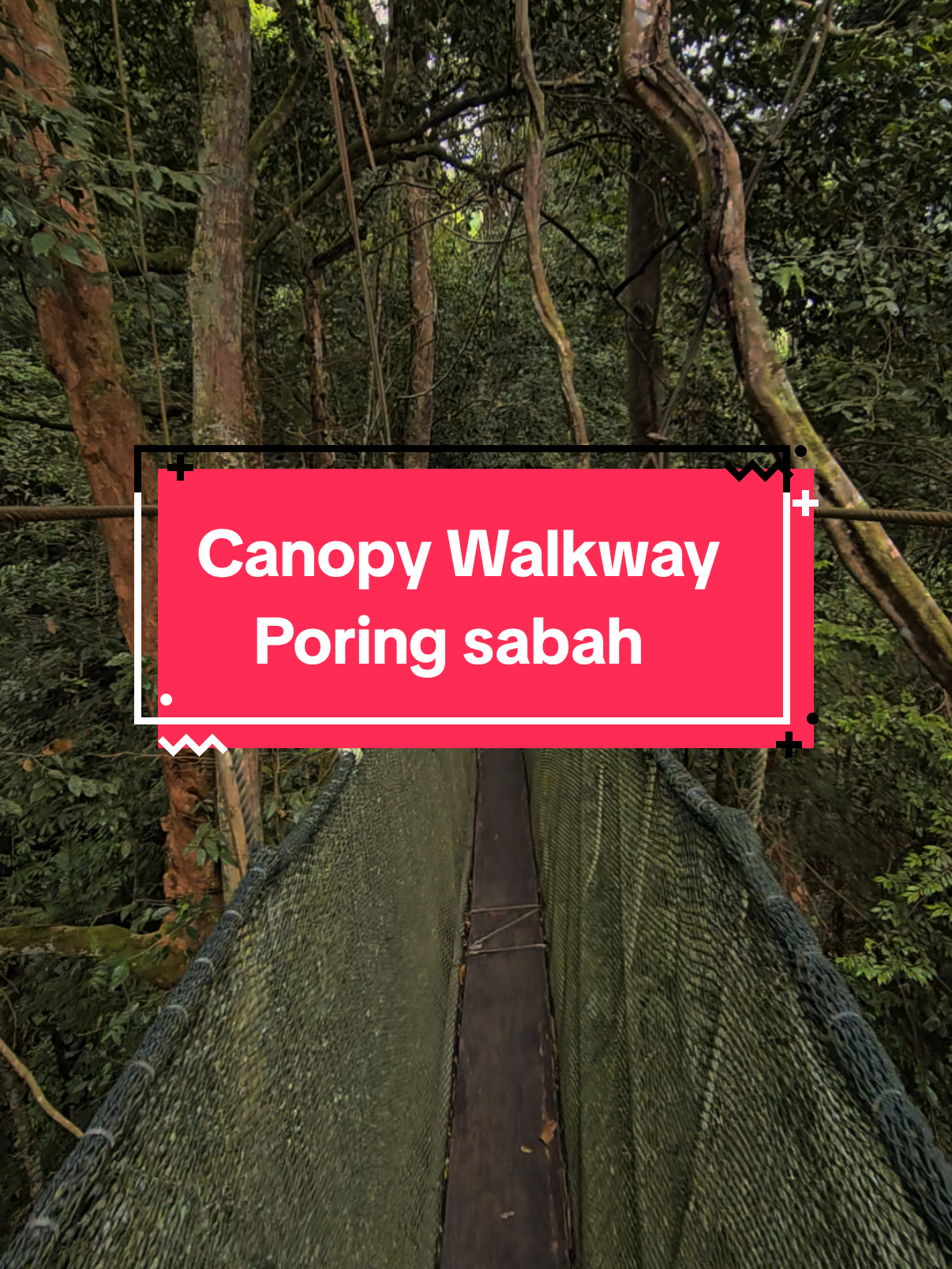 have you try before ? #poring #hiddengem #sabahtourism #sabah #forest #nature #sabahnegeridibawahbayu #hotspringranau #hutan 