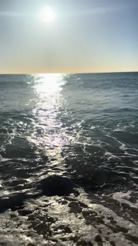 #2025#miami #florida #usa_tiktok #miaminorthbeach #miamibeach #uktousa #retreat #recreation 