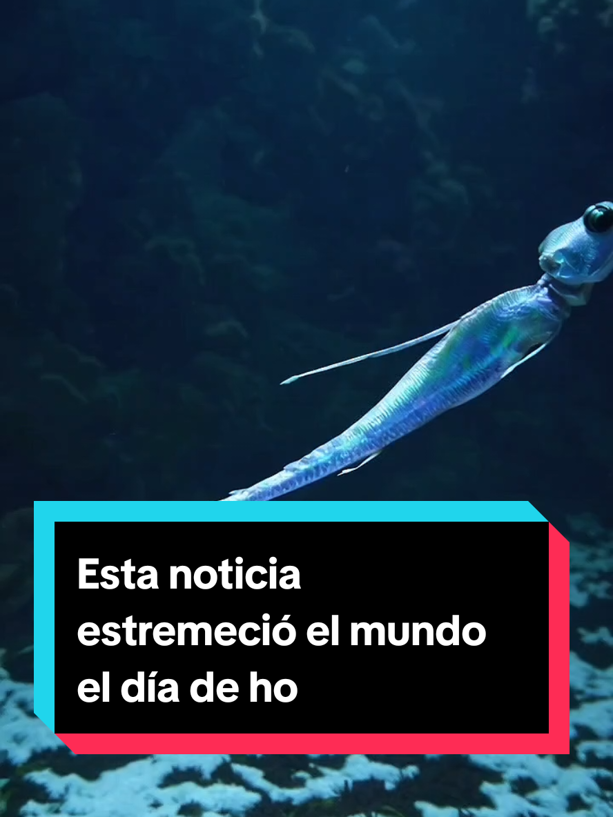 Esta noticia estremeció el mundo el día de hoy #pez #mar #antartica #antartida #mexico #elsalvador #guatemala #elsalvador #colombia #perú #venezuela #canadá #honduras #ecuador #brasil #costarica #parati #mundial #mundo #ciencia #fin  #del #hombres #paratiiiiiiiiiiiiiiiiiiiiiiiiiiiiiii #videoa #videosvirales #tiktokviral #flypシ #mexico🇲🇽 