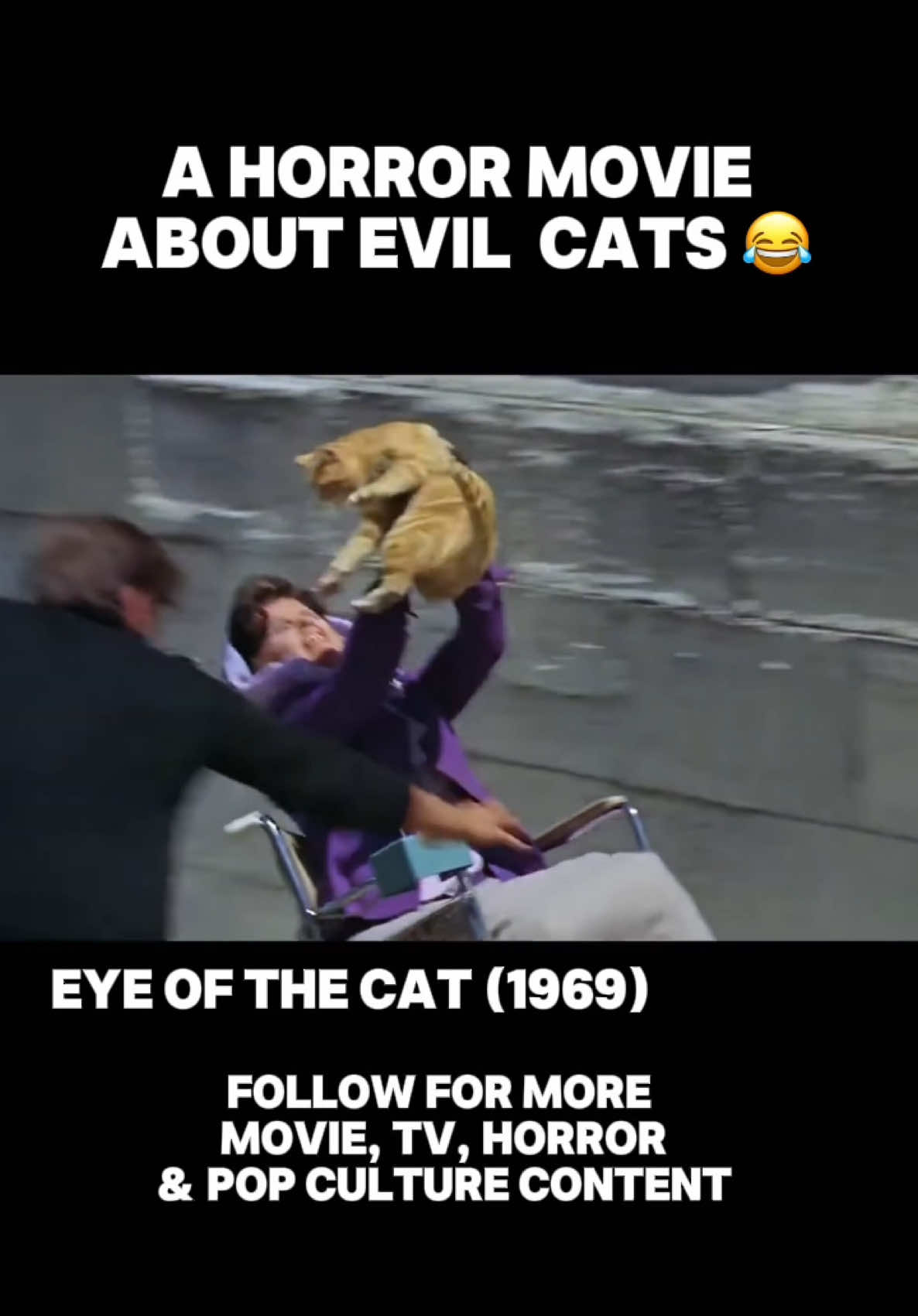 THIS IS HILARIOUS 😭😭 Have you seen this cult classic? Movie: EYE OF THE CAT (1969) LIKE & FOLLOW for more MOVIE, TV, HORROR & POP CULTURE content! #disturbingmovies #Horror #horrortok #horrormovies #horrorcommunity #moviestowatch #movietok #movierecommendation #filmtok #moviereview #horrorfan #horrorlover #movies #eyeofthecatmovie #bmovies #cultmovies 