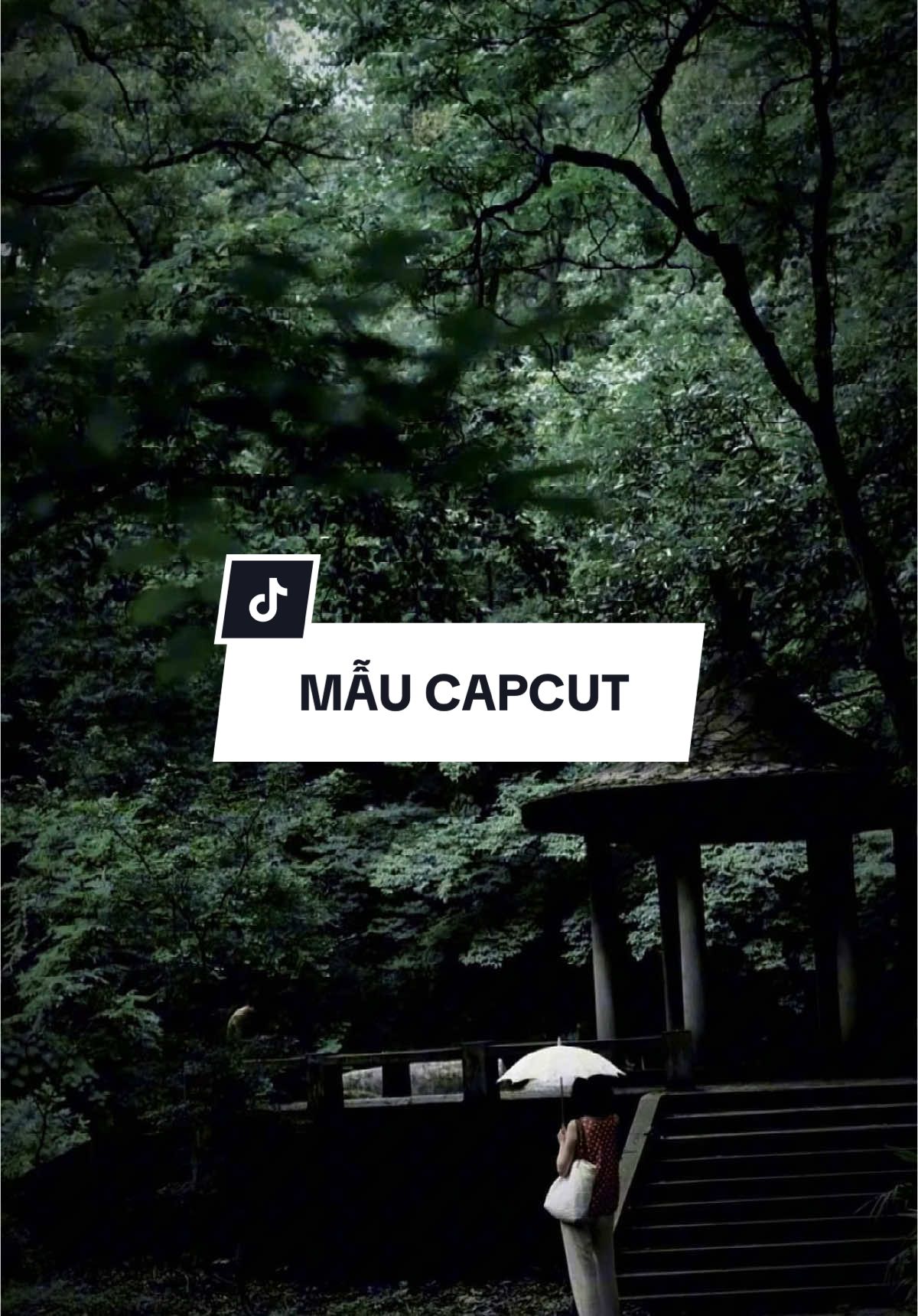 #CapCut Không bao giờ quay lại nhìn em nữa đâu #capcutmaster #dphat812 #maucapcut #nhachaymoingay #xuhuong 