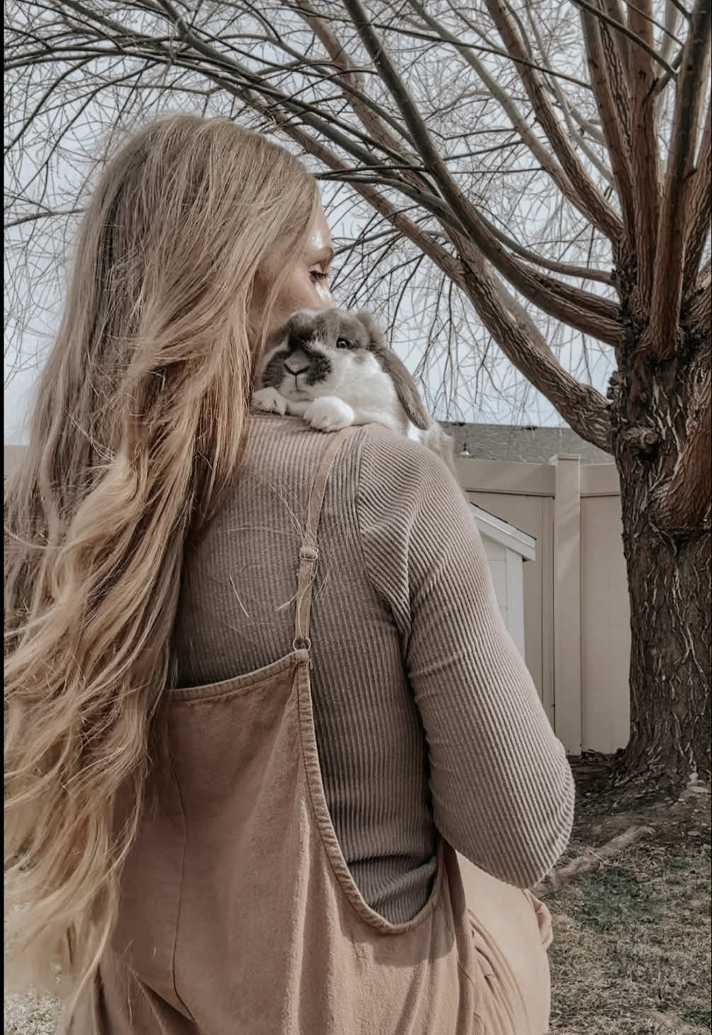 A peaceful moment without a trending audio 🤍. #slowliving #cottagecore #cottagecoreaesthetic #hollandlop #suburbanfarm 