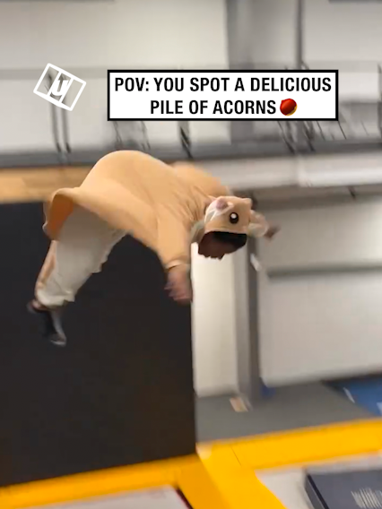 I'm a squirrel 🐿️😂 🎥: IG / jb_ninjaboy #UNILAD #acorn #squirrell #funnyy #parkour