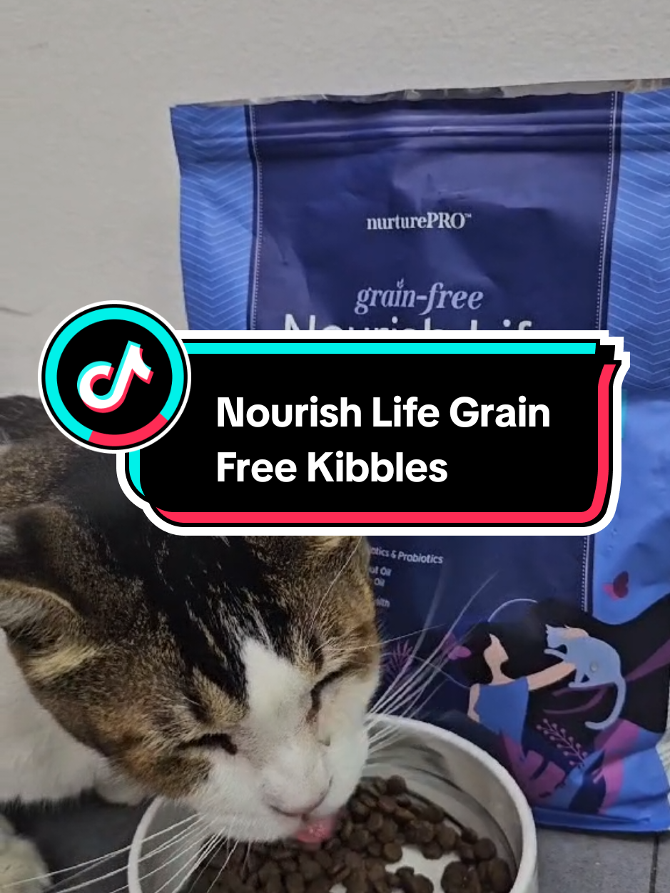 Looking for healthy kibbles for your fur babies? Try Nourish Life Grain Free Kibbles. #sgfyp #tiktokshopsg #tiktoksg #tiktoksingapore #sgsales #createtowin #catsdryfood #catkibble #kucingtiktok #catsoftiktok #nurturepro #yappypets  @yappypets 