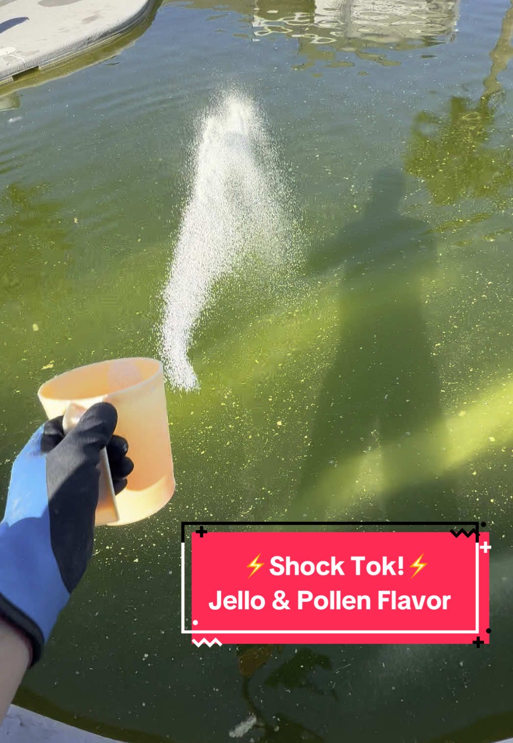 Shock Tok action! Making some pollen flavored jello! #asmr #shocktok #greenpool #fyp #jello #pollen 