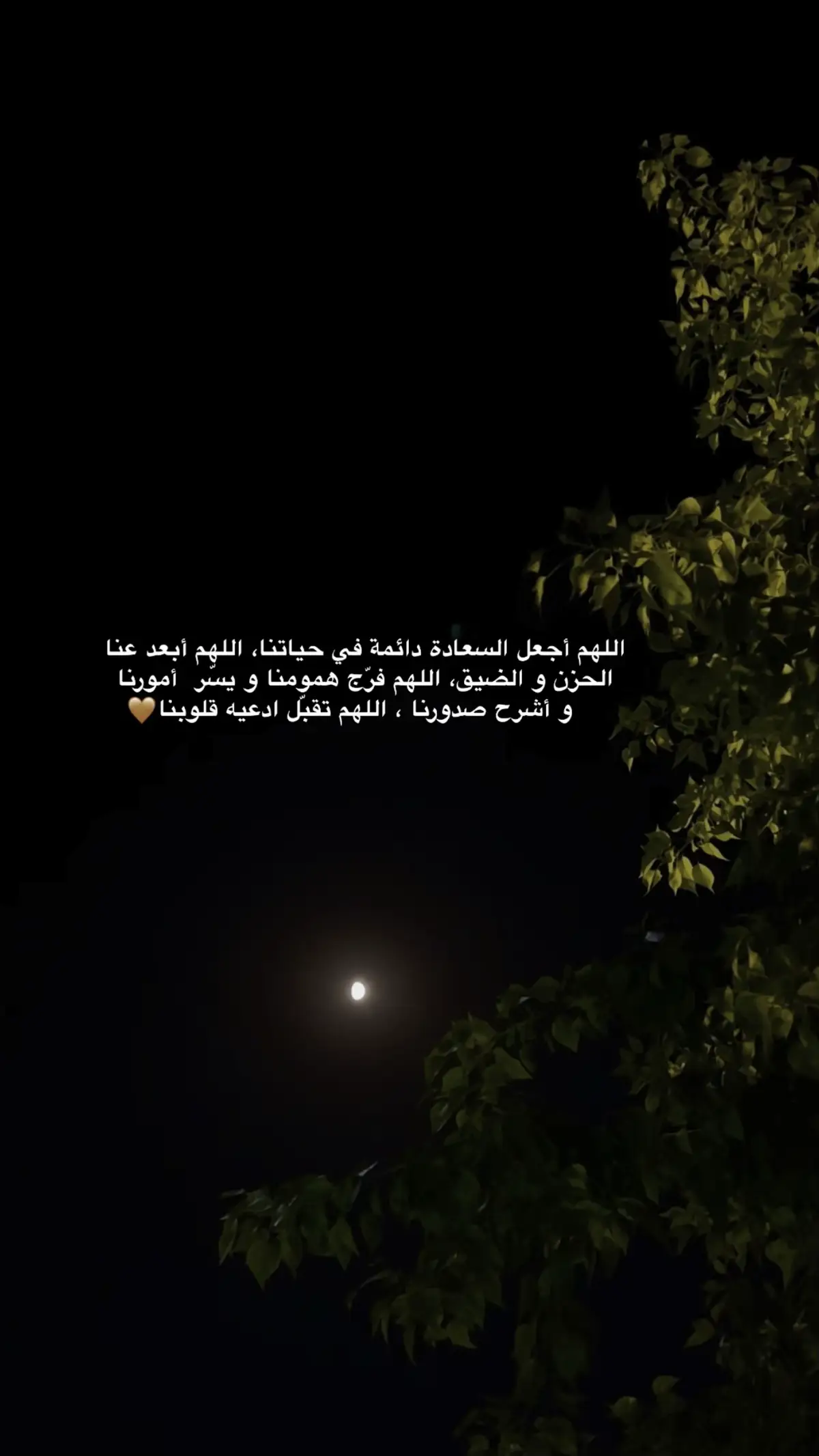 #اللهم_امين 🤎