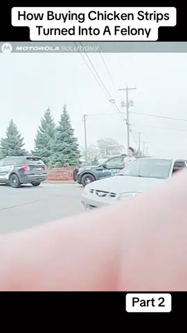 How Buying Chicken Strips Turned Into A Felony #cops #police #policeofficer #policeoftiktok #copsoftiktok 