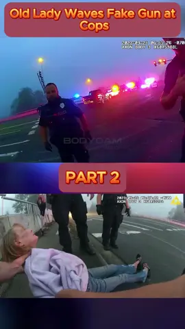 Old Lady Waves Fake Gun at Cops - Part 2 #cops #copsoftiktok #copsontiktok #copstiktok #police #chase #copschase #foryou #fyp #usa