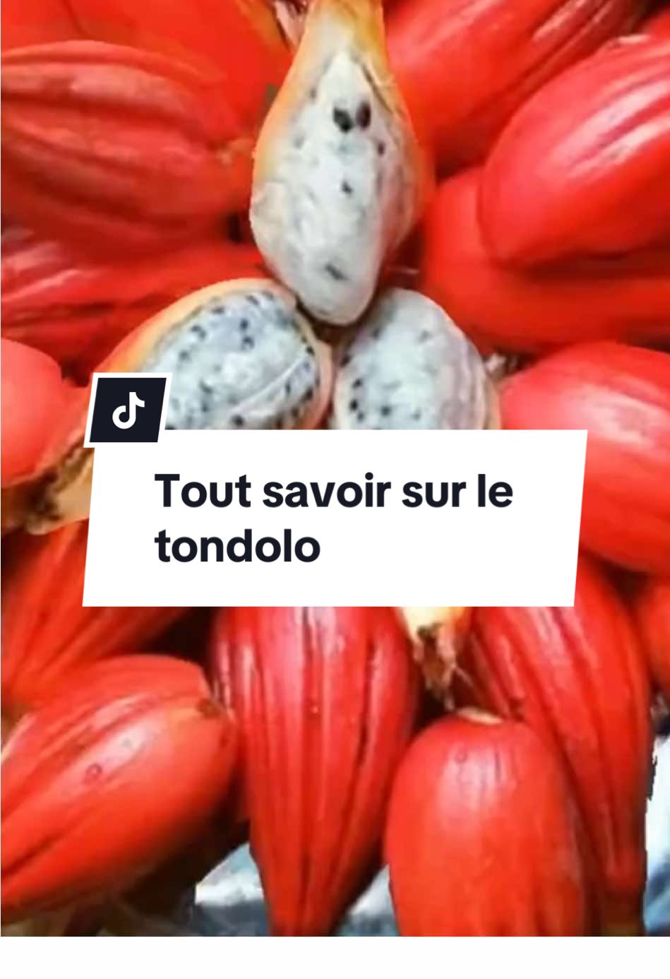 #Tondolo #pourtoi #afriquetiktok