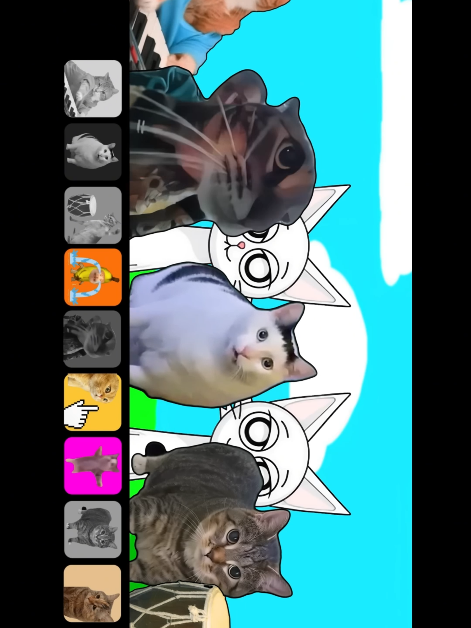 Cat Memes (COVER) #funnycatvideos #cutecat #pets #funnyanimals #petlovers #adorable #fyp #trendingnow #animalcompilation #catmeme #song