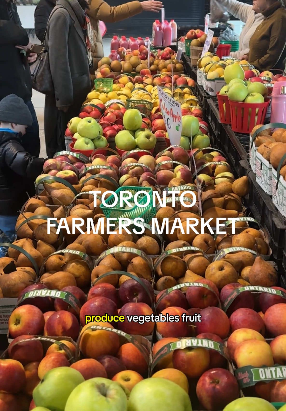 @Evergreen Brick Works Saturday farmers market is a gem ! 🌾 #farmersmarket #evergreenbrickworks #toronto #torontolife #weekend #torontofarmersmarket #torontomarket #supportlocal #thingstodo #todotoronto #torontoactivities #familyfriendly #groceries #torontotiktok #torontolife 