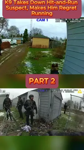 K9 Takes Down Hit-and-Run Suspect, Makes Him Regret Running - Part 2 #cops #copsoftiktok #copsontiktok #copstiktok #police #chase #copschase #foryou #fyp #usa