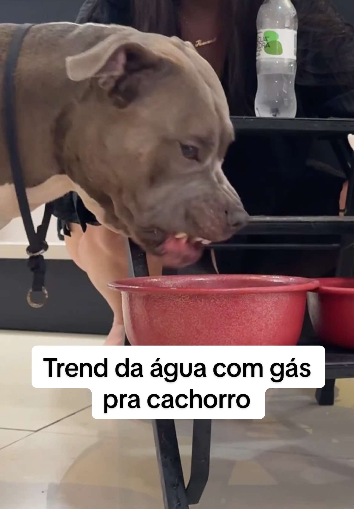 Água veia podi KKKKKK