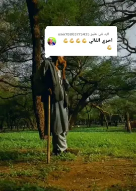 الرد على @user78803773435 مساء الخير 