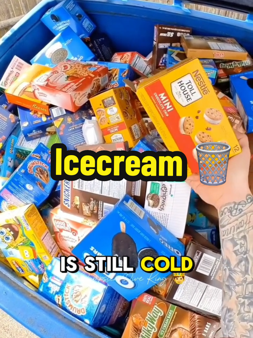 Icecream dumpster and gamer posters found dumpster diving #dumpsterdiving #gamer #icecream #fyp #kitty 