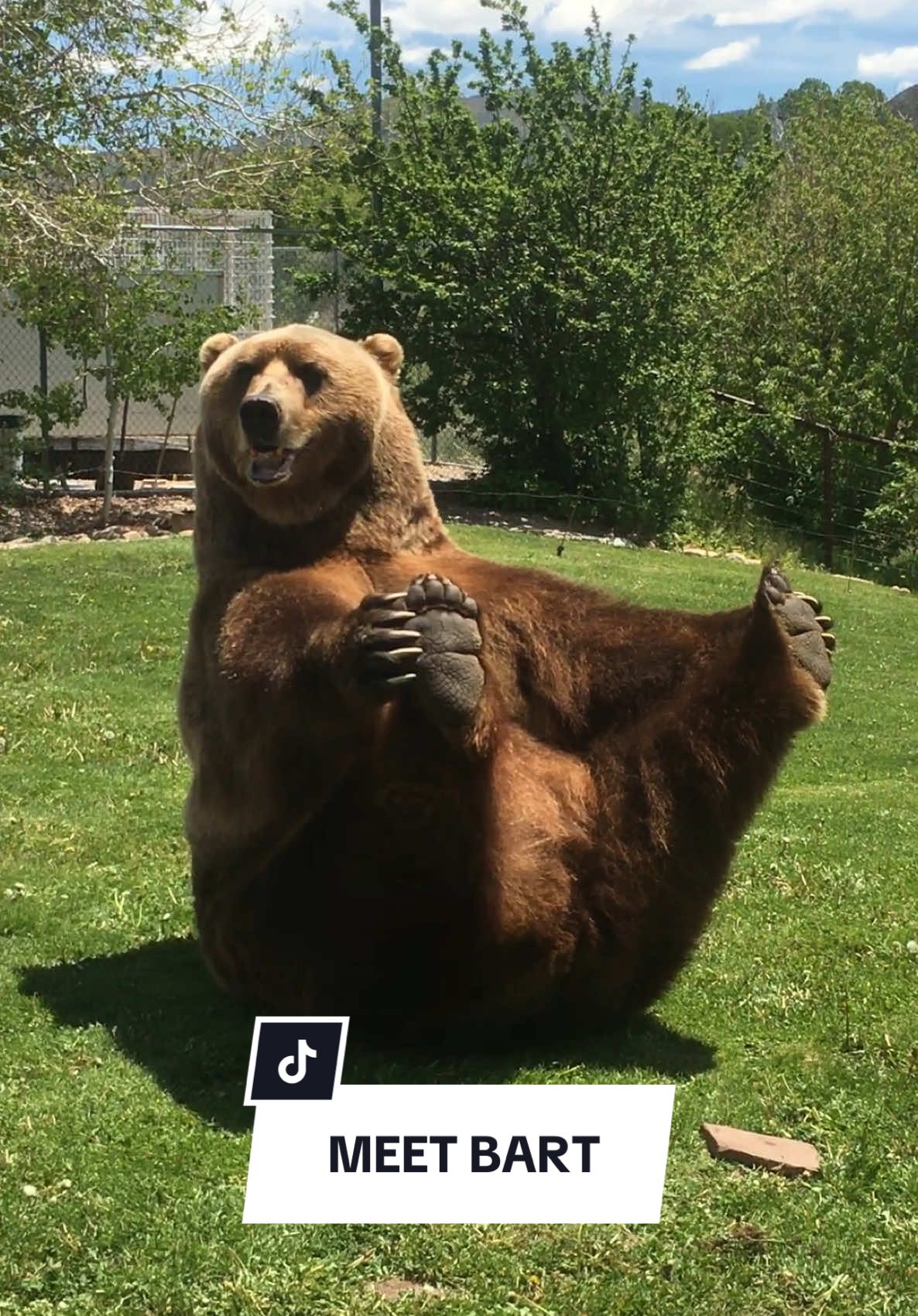 Sometimes I literally forget this happened, but yes I met a grizzly and no I’m not zoomed in & yes there was a tiny trip wire for “protection” … 🤎🐻  #hoziertok #hoziersyell #bucketlist #grizzlybear #onceinalifetime #bear #socool #crazystory 