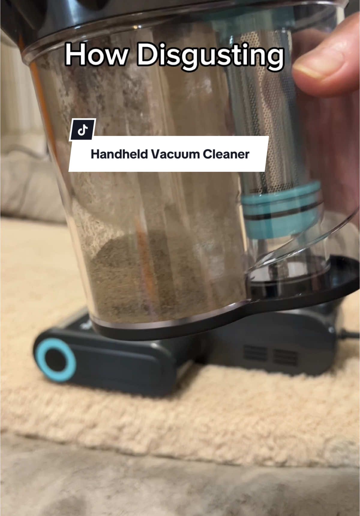 This little handheld vacuum cleaner is pretty powerful. I can’t believe it got all that up after I’ve already vacuumed them this morning. #vacuum #vacuum #mattress #dogbed #CleanTok #handheldvacuum 