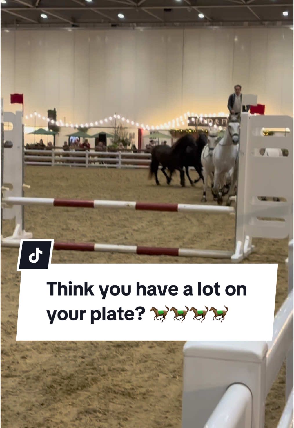 Heading into hump day like…  #equestrian #funny #horses