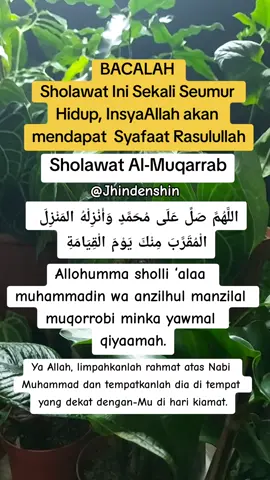 Assalamualaikum🙏 Sesungguhnya Allah dan para malaikat-Nya bersholawat kepada Nabi. Wahai orang-orang yang beriman, bersholawatlah kalian kepada Nabi (Muhammad) dan ucapkanlah salam penghormatan kepadanya,” (QS. Al-Ahzab: 56). #sholawat #sekaliseumurhidup #syafaatnabimuhammad #istiqomah #foryou 