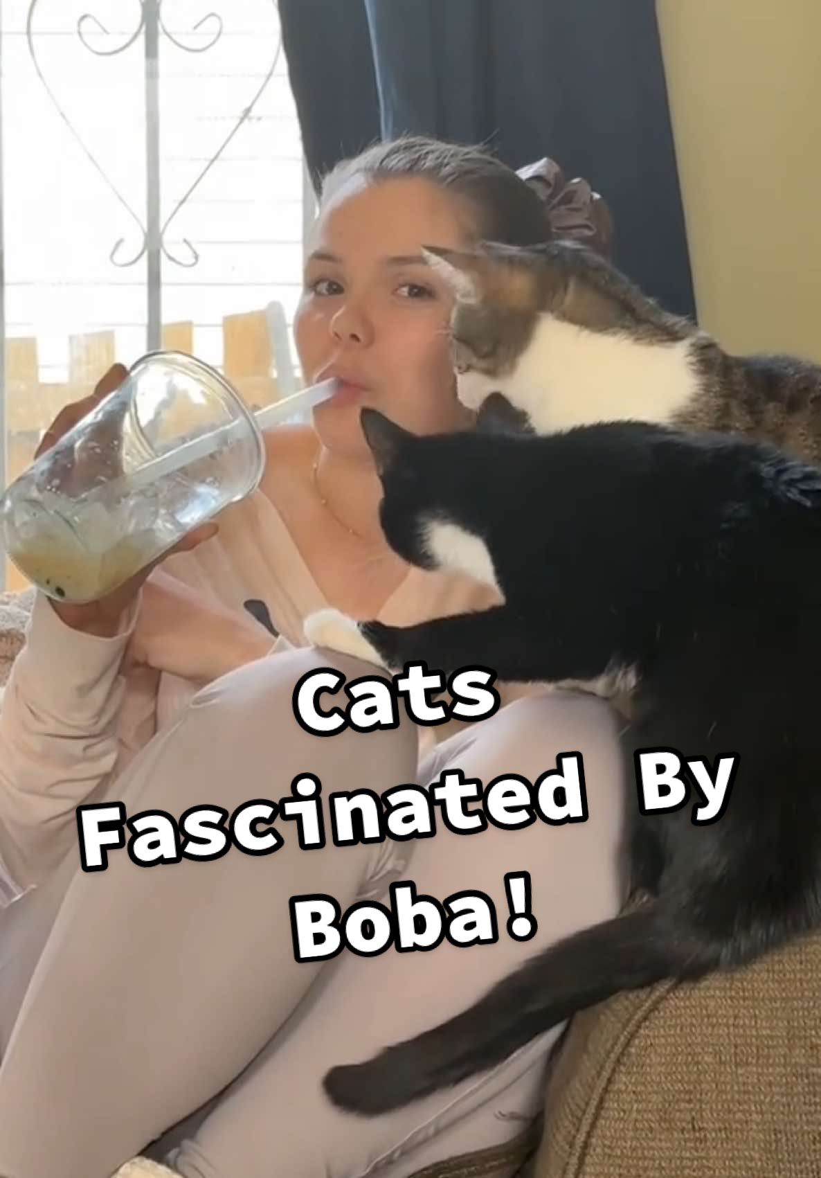 What is that in there?! Mom, what is that?! 🤣🧋🧋#Funny #Cats #Boba #CatLife #CatsOfTikTok #fypage 