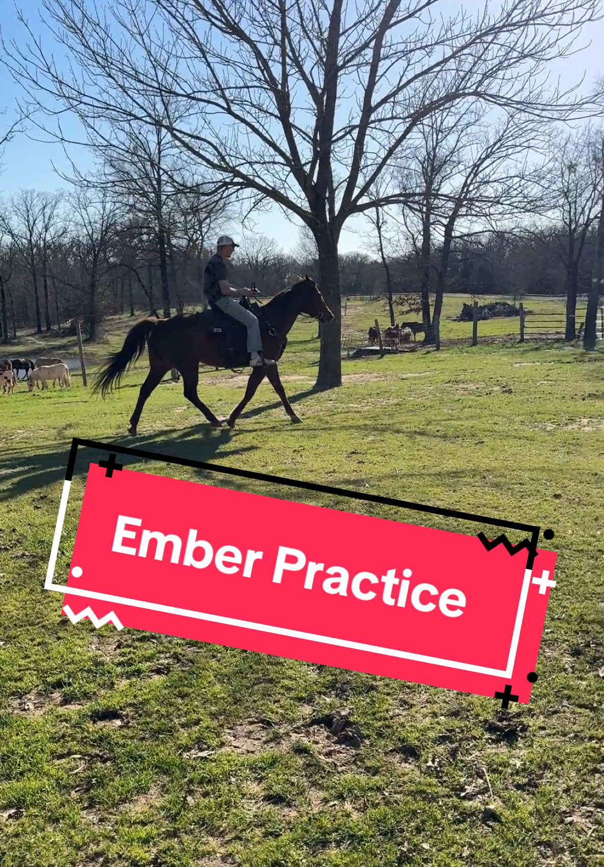 Practice with Ember today to get ready to ride in the novice barrel class next week.  #horse #ranch #farmanimals #ranchtok #horsesoftiktok #barrelracing 