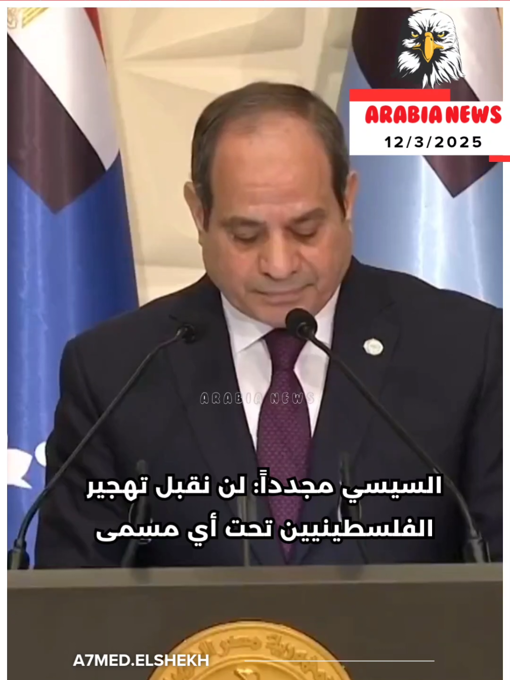 #فلسطين #الرئيس_عبدالفتاح_السيسى #تحيا_مصر_العظمي🇪🇬🦅✌💪 #تحيا_مصر #egypt🇪🇬 #egypt #مصر_السعوديه_العراق_فلسطين #فلسطين🇵🇸 #الجيش_المصري_رجال💪🇪🇬 #fyp 