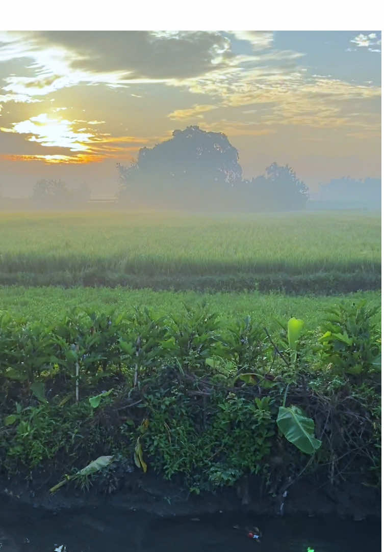 enak yoo nek cinta dibales cintaa.