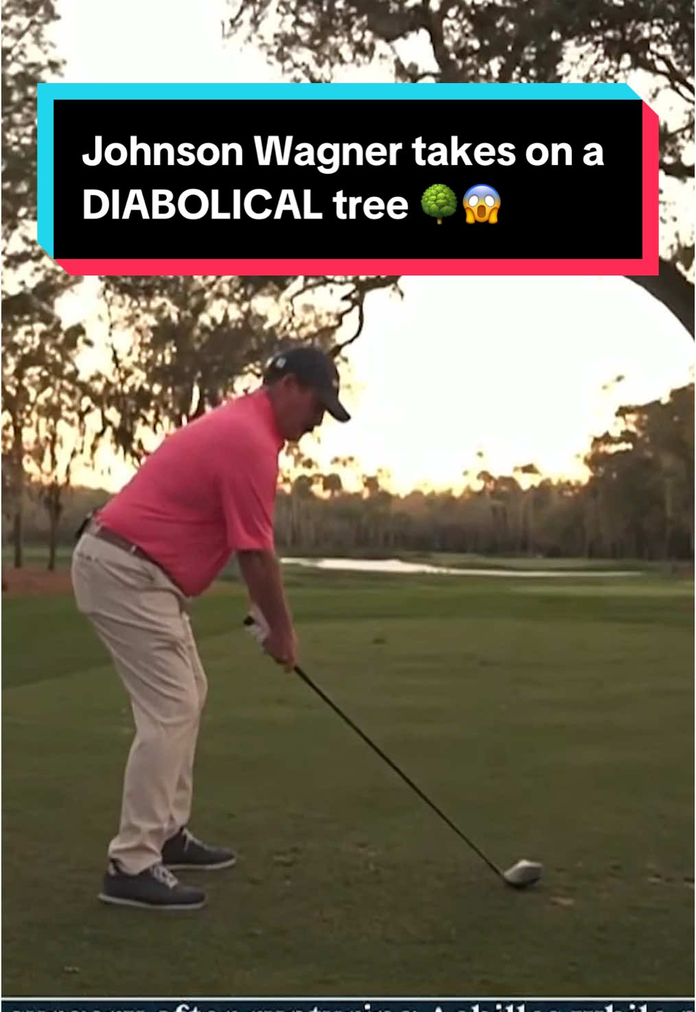 For Johnson Wagner's latest adventure, he navigated the tricky tee shot at No. 6 on TPC Sawgrass which requires avoiding a low-hanging tree. 🌳 #golf #theplayers #legend  