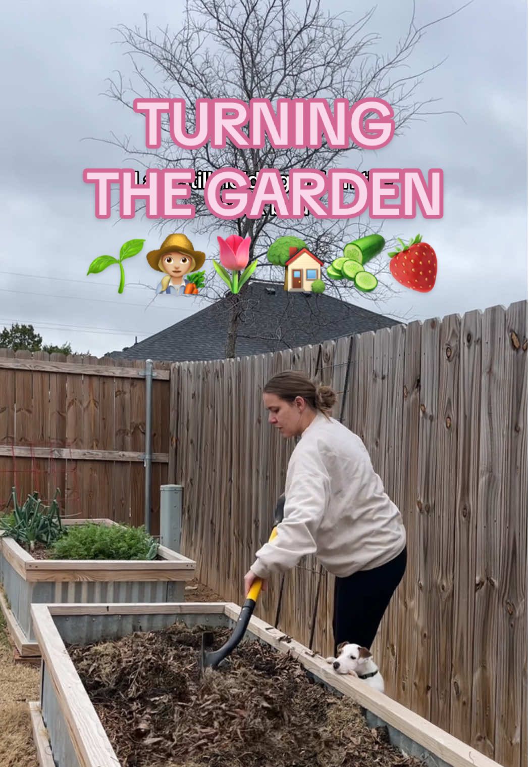 Spring is in the air and I’m soooo excited 🌱  . . . #gardentok #gardening #gardeningtips #vegetablegarden #gardening101 #raisedbedgarden #backyardgarden 