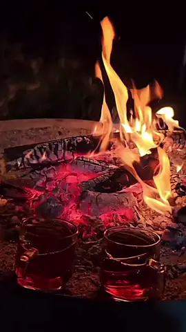 #fyp 