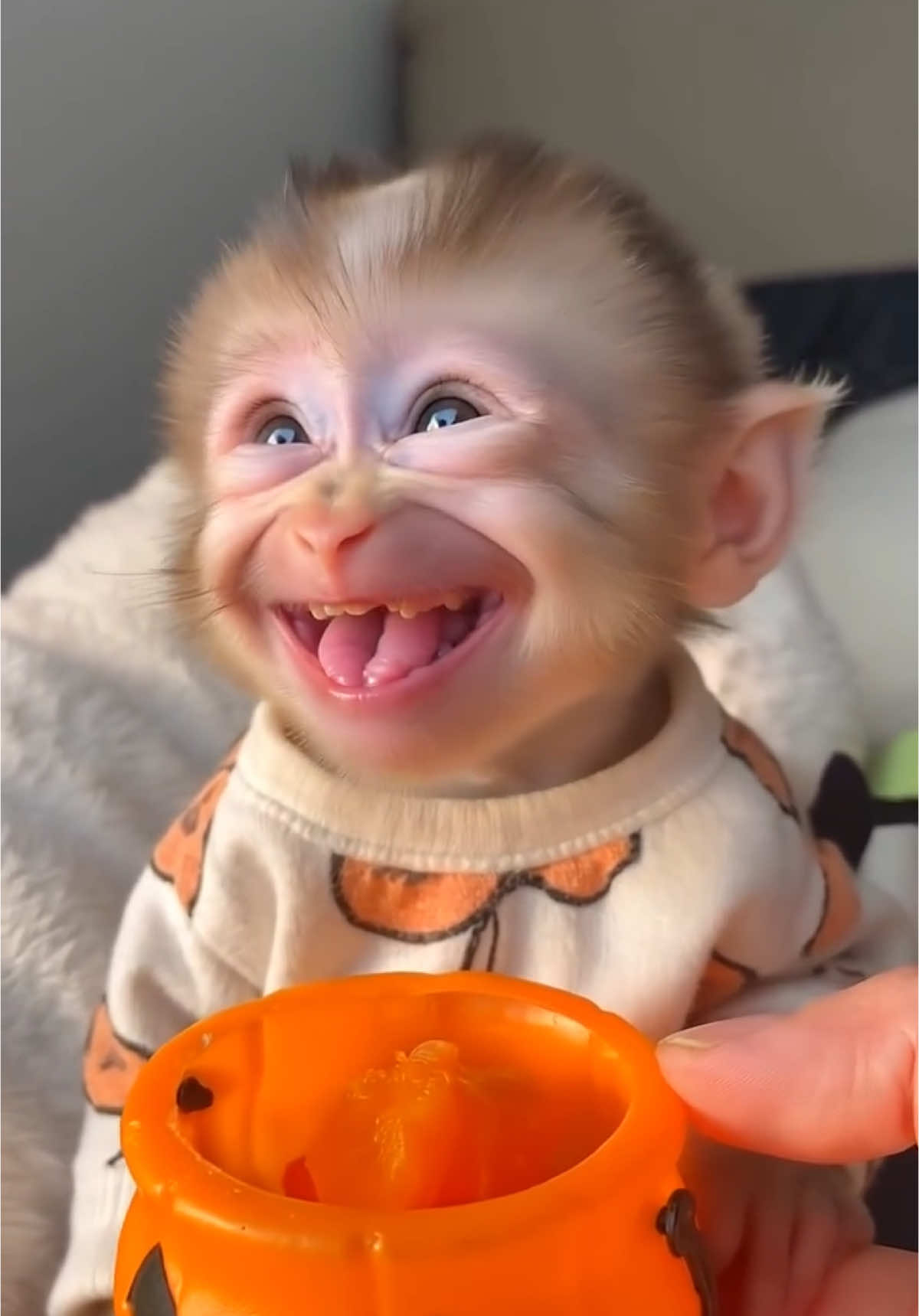 Happiness comes in the smallest packages! 🐵❤️ Just one smile can brighten your whole day. Look at this little bundle of joy! 😍✨ #PureHappiness #MonkeyLove #TooCute #SmilesForDays #AdorableMoments #HappyVibes #animallover 