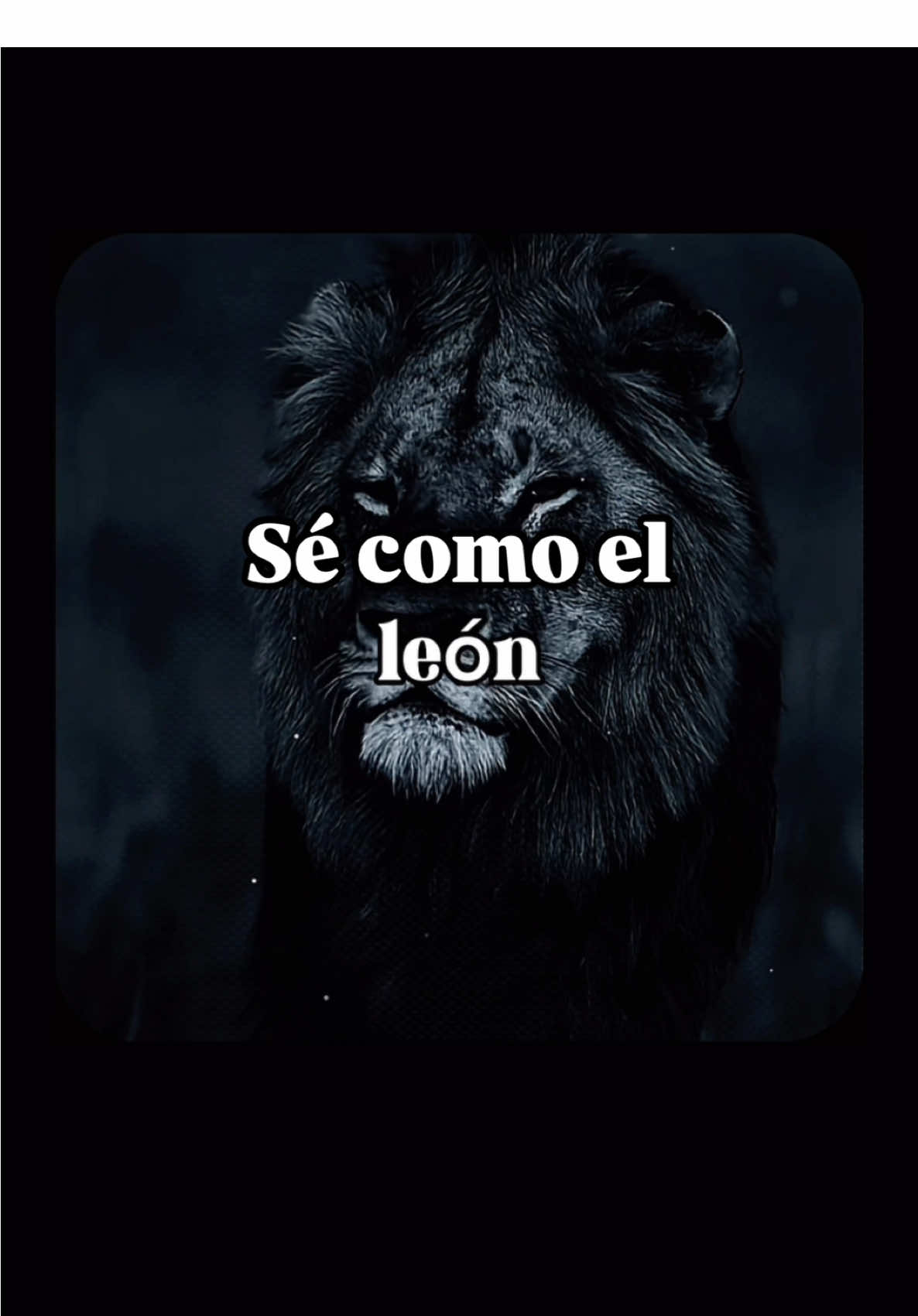 Leí una frase que decía: - Un gato que sueña con convertirse en león debe perder el apetito por las ratas. Si sueñas en grande, no puedes conformarte con lo pequeño. Los leones no pierden su tiempo en lo insignificante. Pero dime, ¿sigues atrapado en lo que te limita? 🔥 El precio de la grandeza es el sacrificio de lo mediocre. 💡 Decide hoy: sigues cazando ratas o te conviertes en un león. #MentalidadDeÉxito #PiensaEnGrande #CrecimientoPersonal #LibertadFinanciera #SéUnLeón #Superación #ÉxitoFinanciero #RompeTusLímites #MentalidadMillonaria #Emprendimiento 