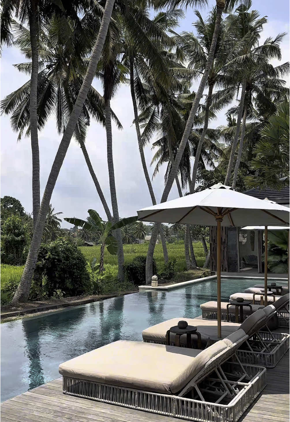 Get hypnotized by the beauty of Villa Angeleena—where elegance meets tropical serenity A retreat so enchanting, you’ll never want to leave ✨ 📍 Villa Angeleena, Ubud #villabali #baliholiday #balivilla #balivillarental #islandliving #privatevillabali #villaubud #ubudbali #ubudvilla #ubud 