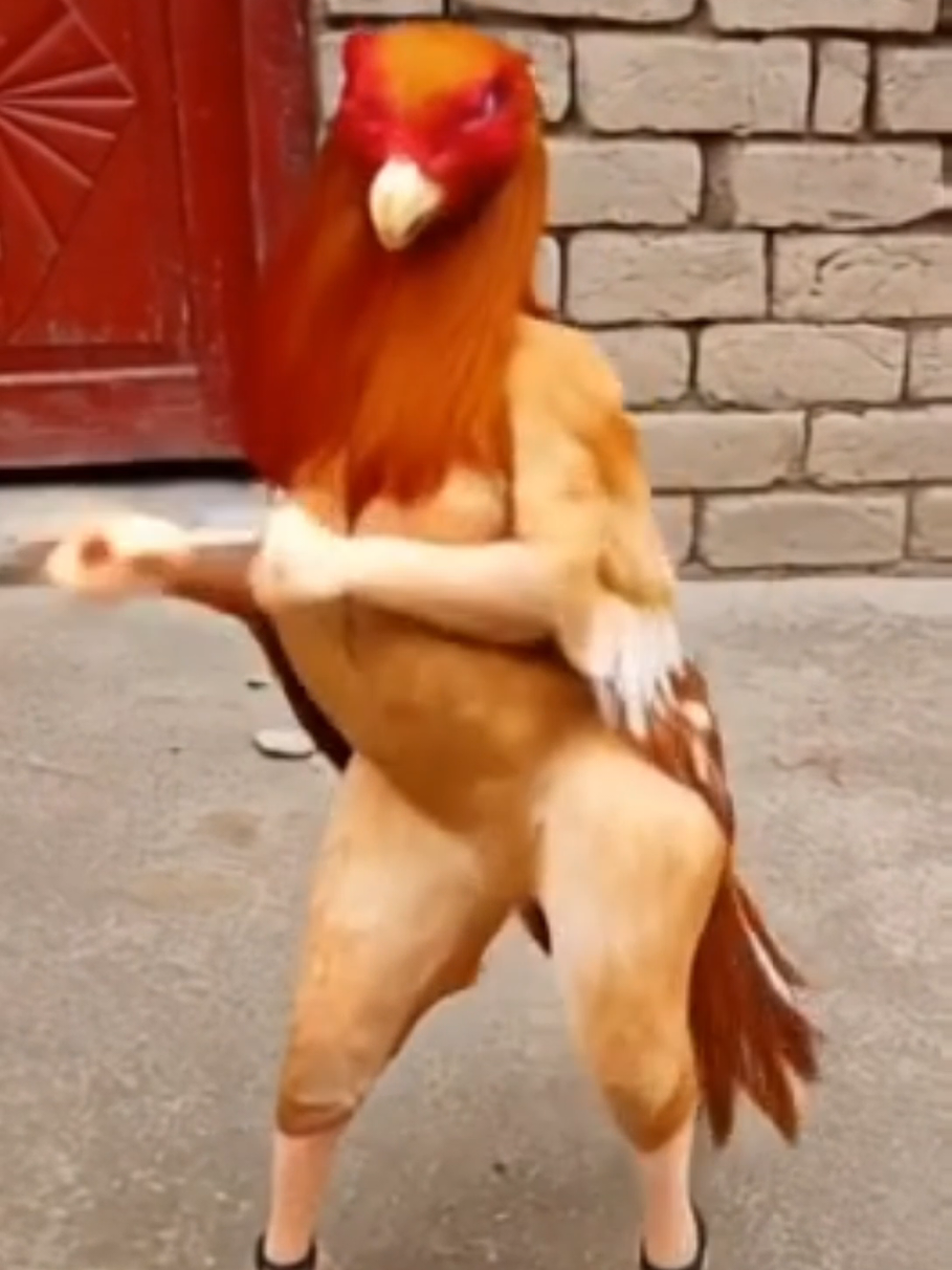 rooster tranding dance video #rooster #tranding #funny #funntdance #pixverse #entertainment #usa_tiktok #baby #unfrerzemyaccount #kidstiktok #monkey #kidsdance #foryou #asmr 