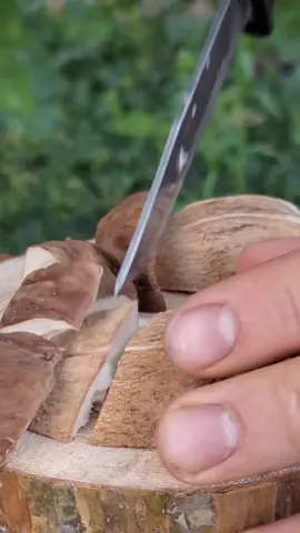 Survival outdoor skills🔥 #dailyupdate #outdoor #camping #campingtent #campinglife #outdoorlife #fyp #foryou #foryoupage #survival #survivalskills #asmr #outdoorasmr #outdoorcooking #campingtips #bushcraft 
