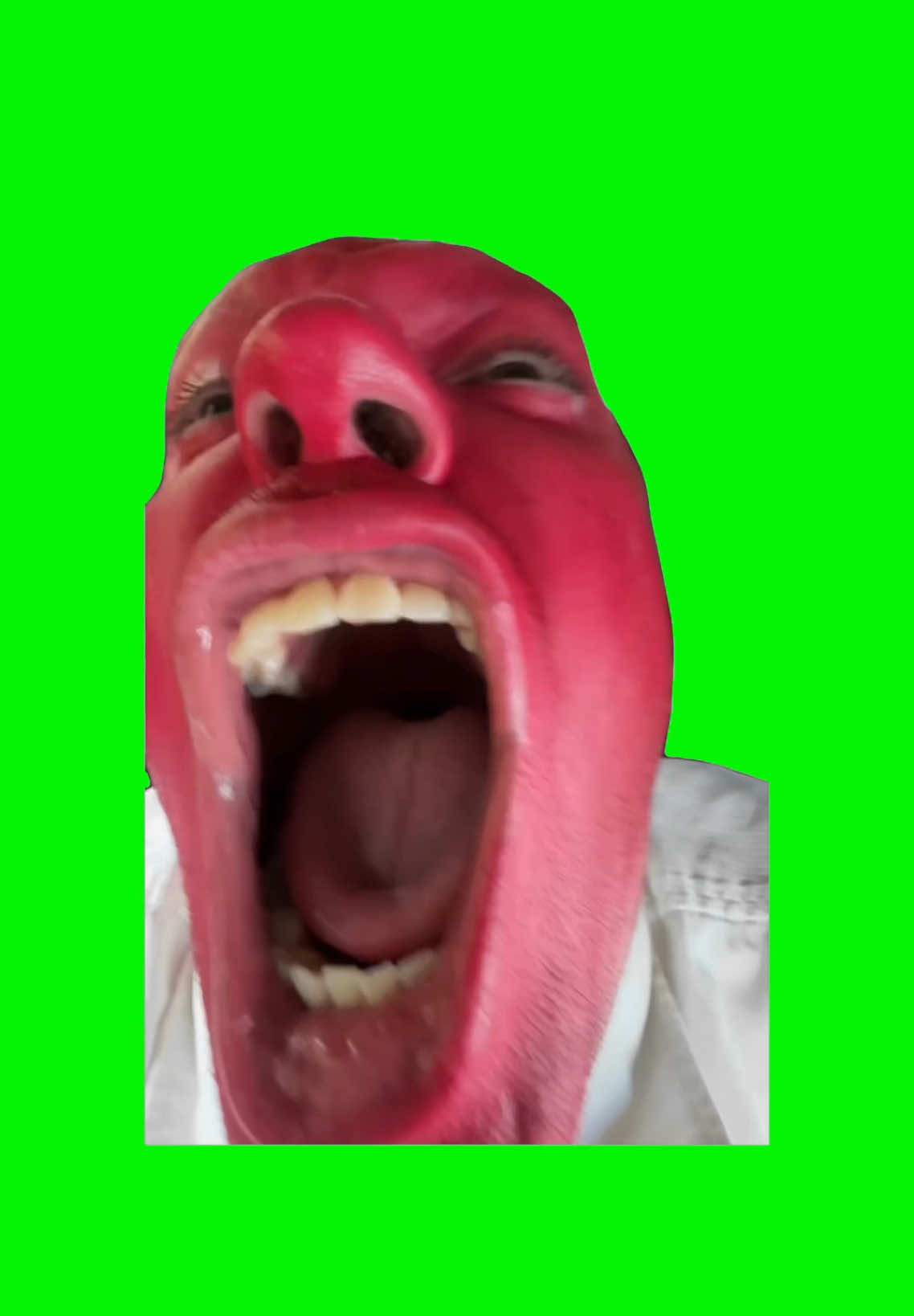 Dan Hentschel Red in the Face, Screaming | Green Screen. Original video by @Dan Hentschel #scream #mad #crashout #angry #meme #dailymemes #funny #lol #fyp #viral 