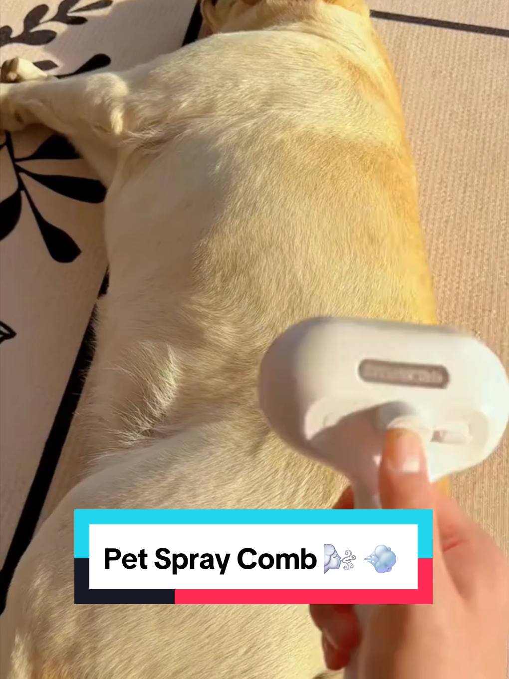 Pet Spray Comb 🌬 💨  #pethairremoval #dogshop #dogbrush #dogproducts #shedding #petcomb 