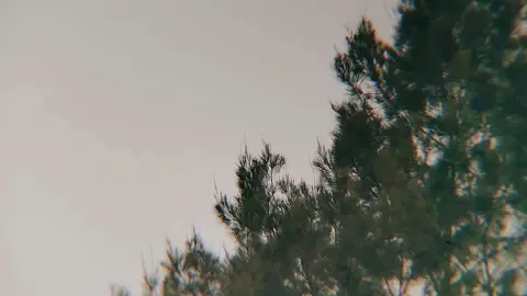 ✨ #tiktok #fyp #foryou #explore #opm #music #edit #photography #nature #sky #hiwaga #musicvideo #song 