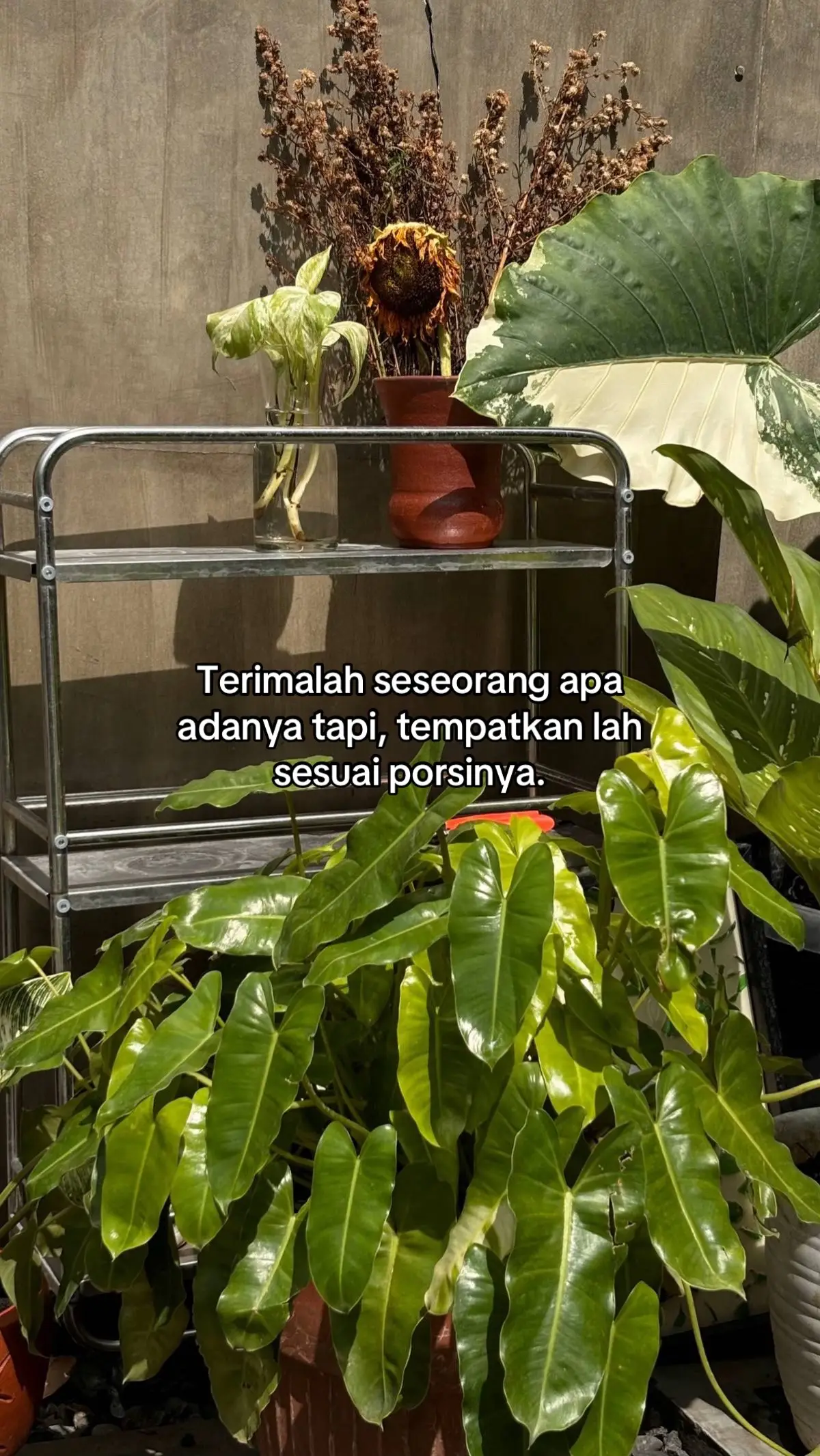 #wllsonn #fyp #ForYou 