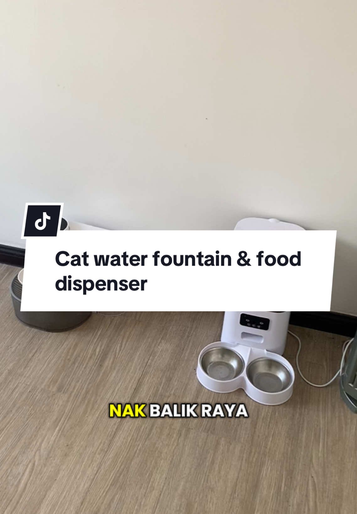 Nak balik raya ready kn bende ni. tkya hntr pet hotel dah #catsoftiktok 