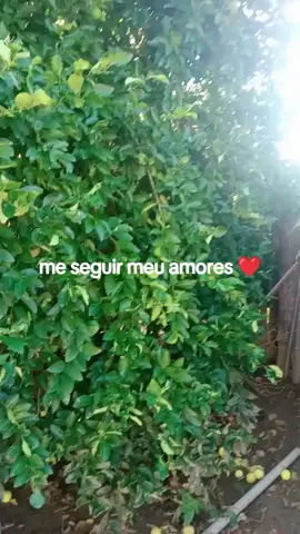 #coisaunica 