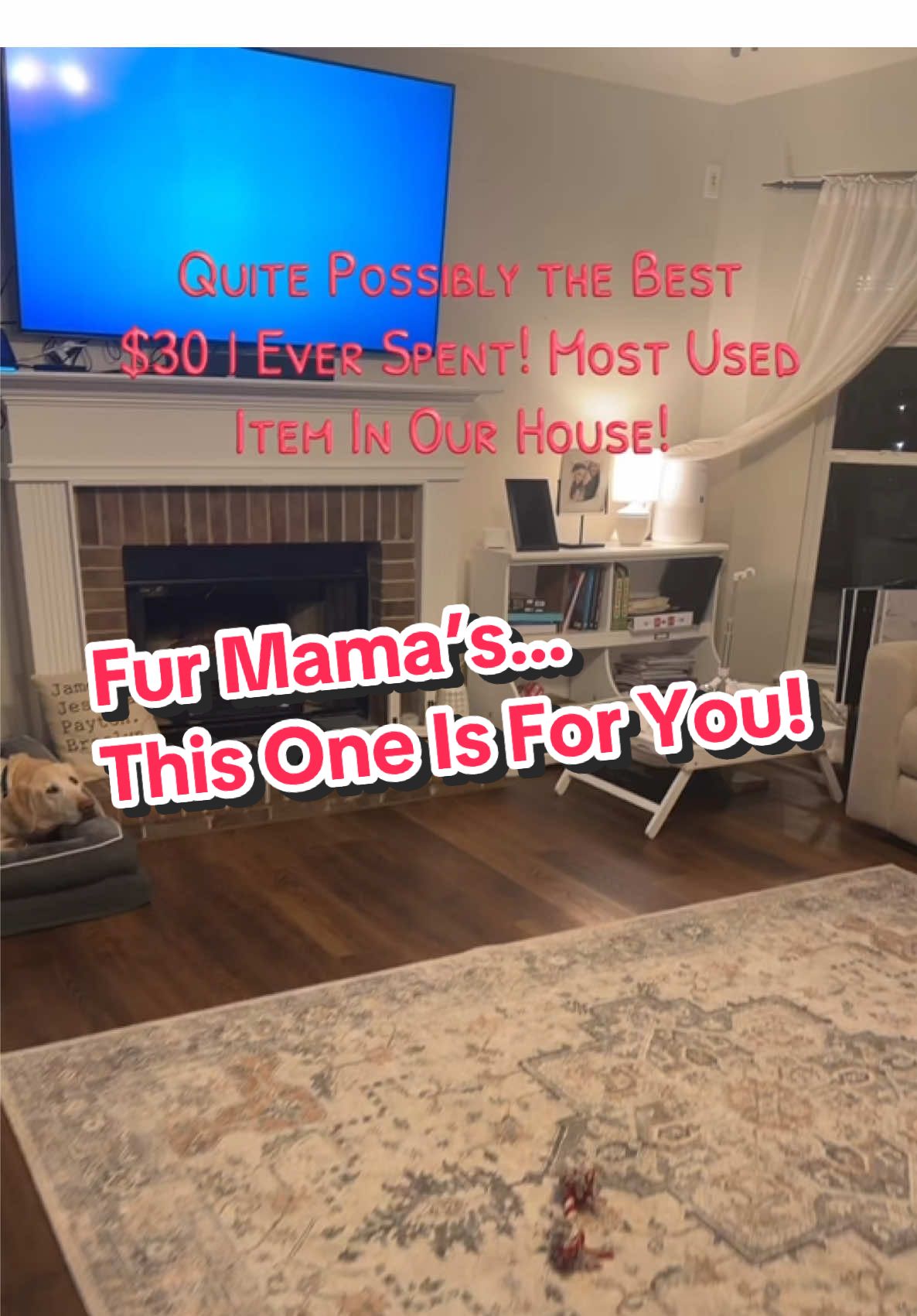Luxury + Affordable + Loved By Dogs….This washable dog bed is a no brainer. Hurry!! It’s on clearance!  #TikTokShop #dogbed #petbed #dogsofttiktok #dogmom #dogmusthaves #dognecessities #spotlightfinds 