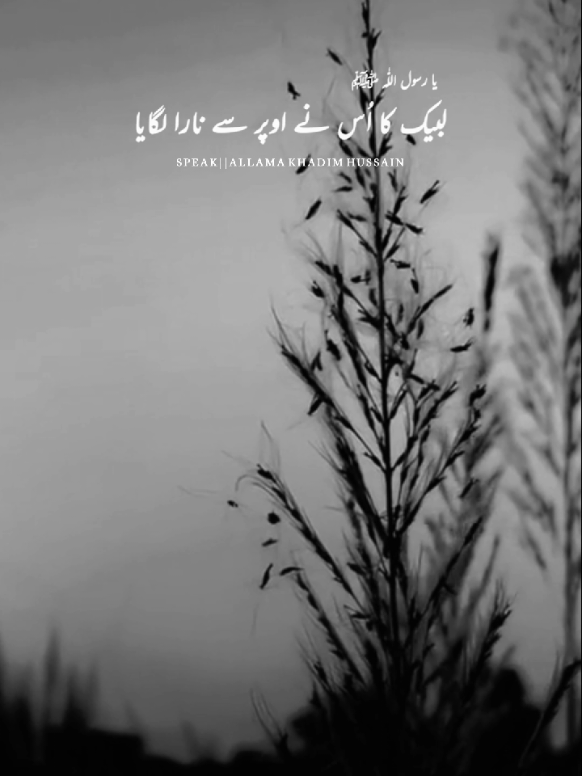 REPOST 🔂 REQUEST 