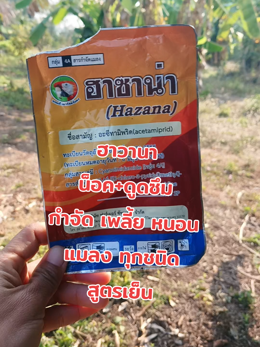 #ฮาชาน่า #กําจัดแมลง #สารกําจัดแมลง #รีวิว #รีวิวของดีบอกต่อ #เกษตรสาวภูธร #กําจัดแมลงทุกชนิด 