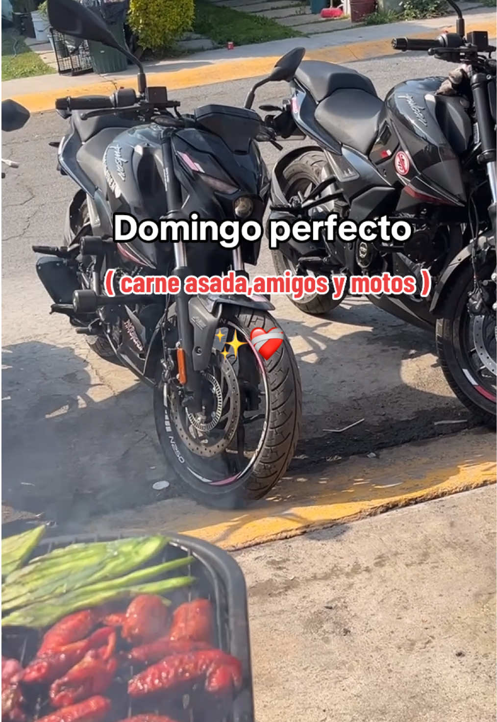 #biker #motos #amigos #domingoespetacular #motorcycle #fypシ゚ #carneasada 